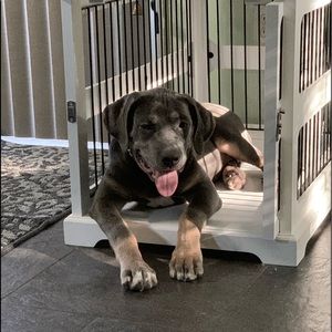 Meet your Posher, Vergil